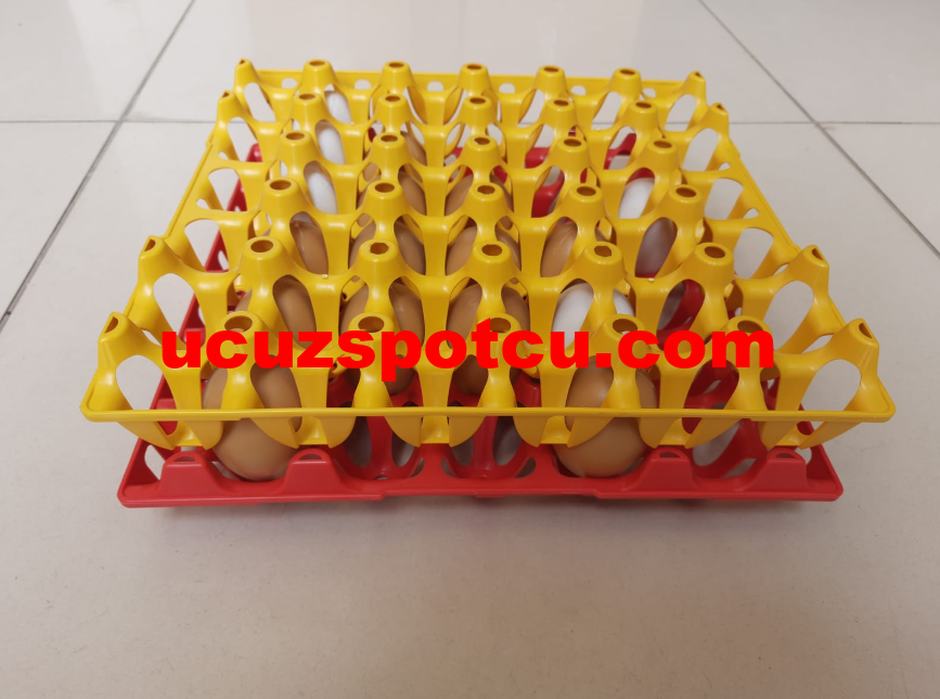 Plastik Yumurta Viyolü 30 Yumurta Kapasiteli