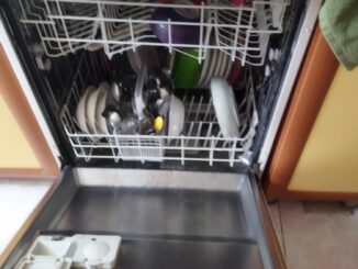 outlet bulasik makinesi ucuz
